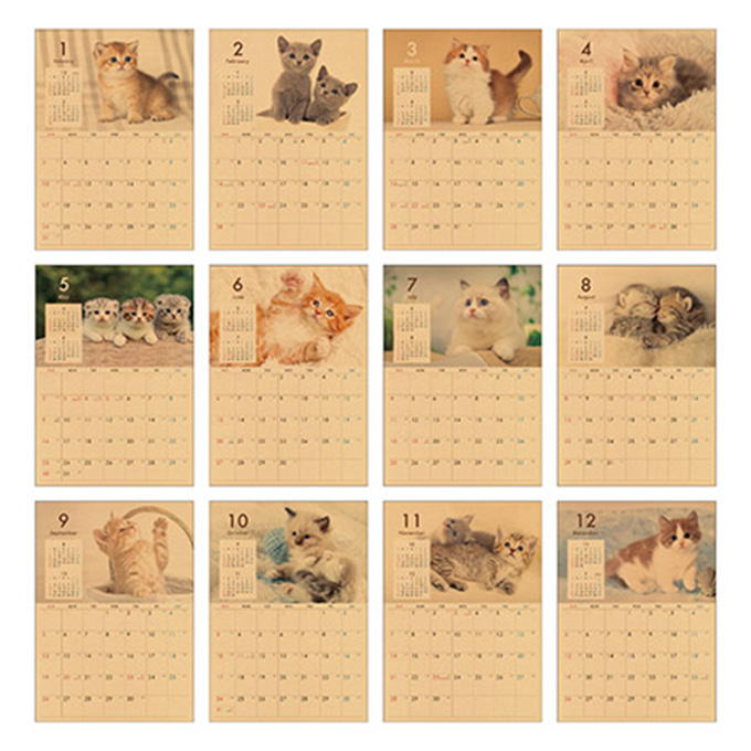 【まとめ買い】2027 壁掛け B4 クラフト ネコ写真 0936/308715