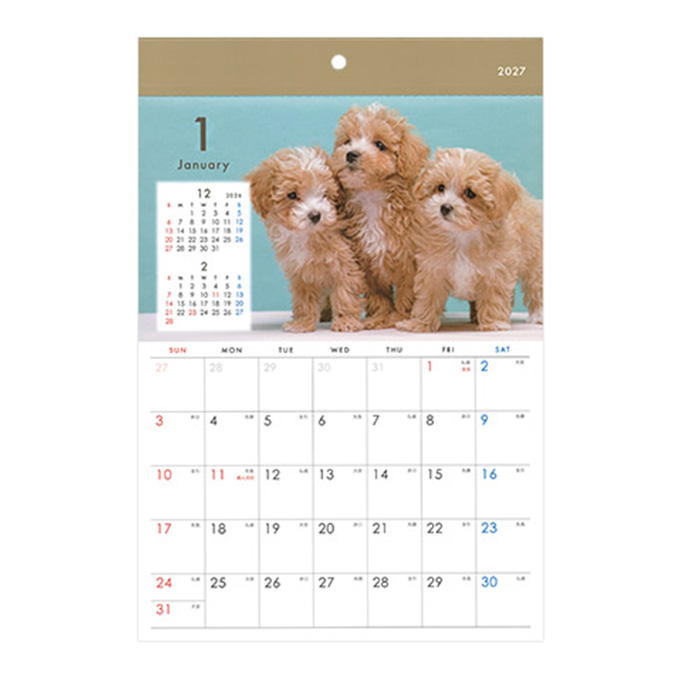 【まとめ買い】2027 壁掛け A4 イヌ写真 0936/308718