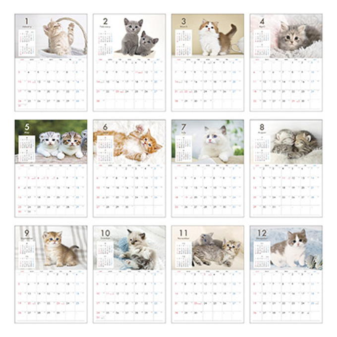 【まとめ買い】2027 壁掛け A4 ネコ写真 0936/308719