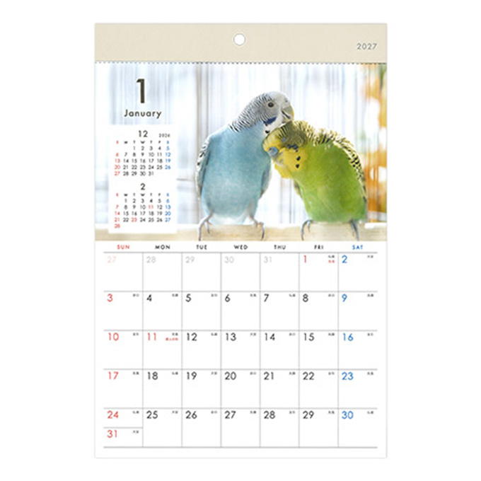 【まとめ買い】2027 壁掛け A4 トリ写真 0936/308720