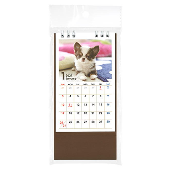 【まとめ買い】2027 卓上タテ型 イヌ写真 0936/308730
