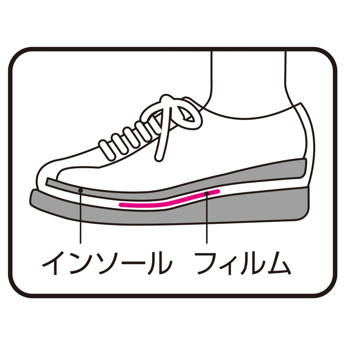 【まとめ買い】靴用 消臭フィルム 2足分 0775/317917