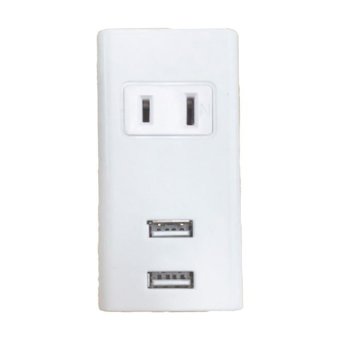 【まとめ買い】コンセントタップ2個口 USB×2 1550/319295