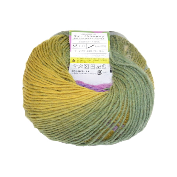 毛糸 ウール100％ フェードカラーヤーン オリーブ/パープル 9001/349756