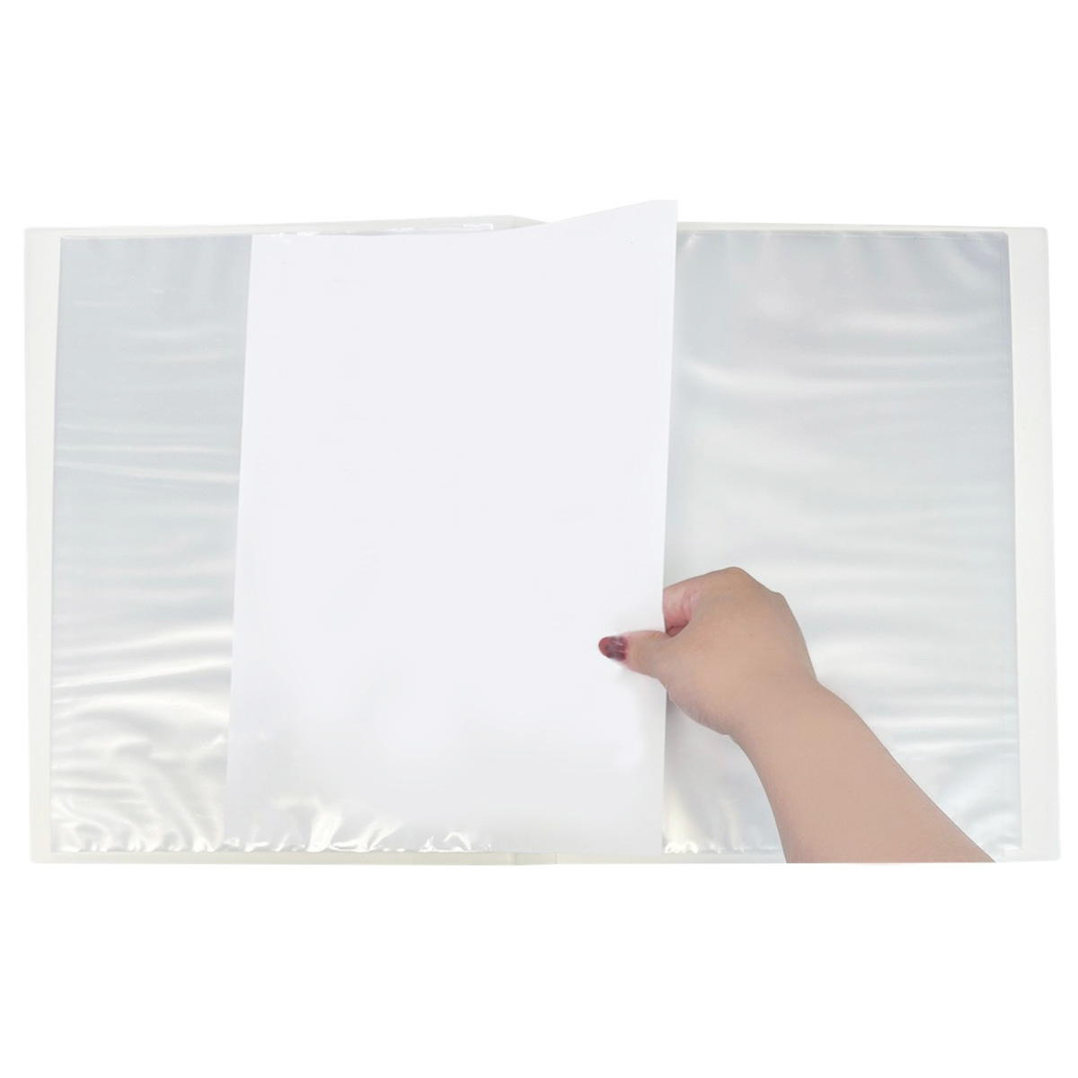 【まとめ買い】クリアーファイル A4 横入れ 40P 9001/350506