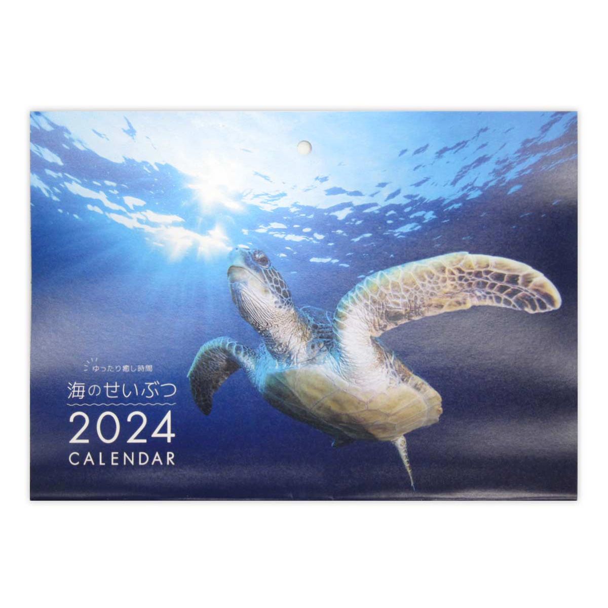 2024年 見開きA3 中綴じ壁掛けカレンダー 海の生物 0915/351949