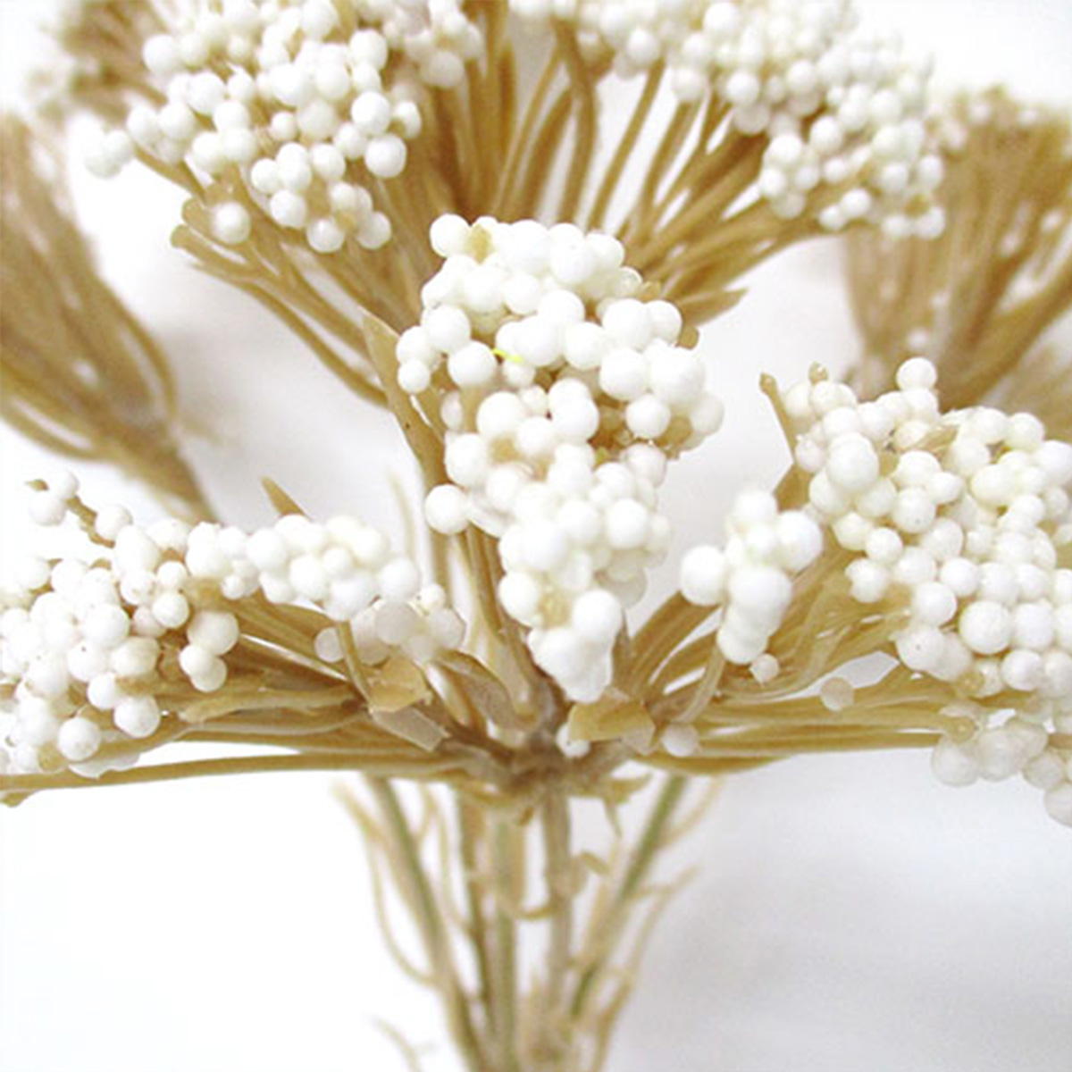 【まとめ買い】ドライライスフラワーピック 0665/360451