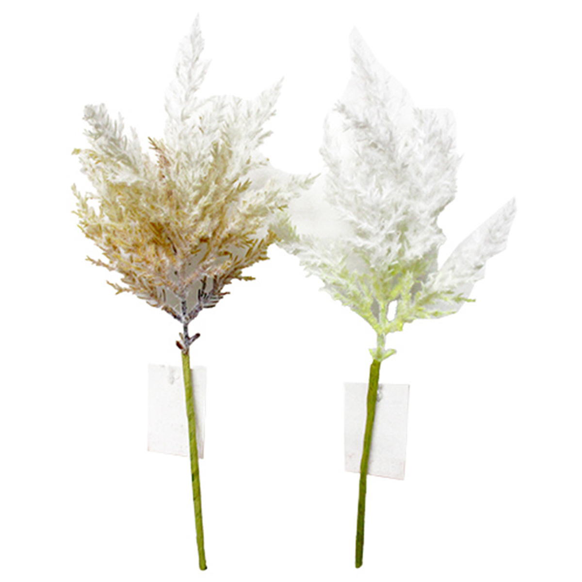 【まとめ買い】ドライパンパスショート 0665/360472