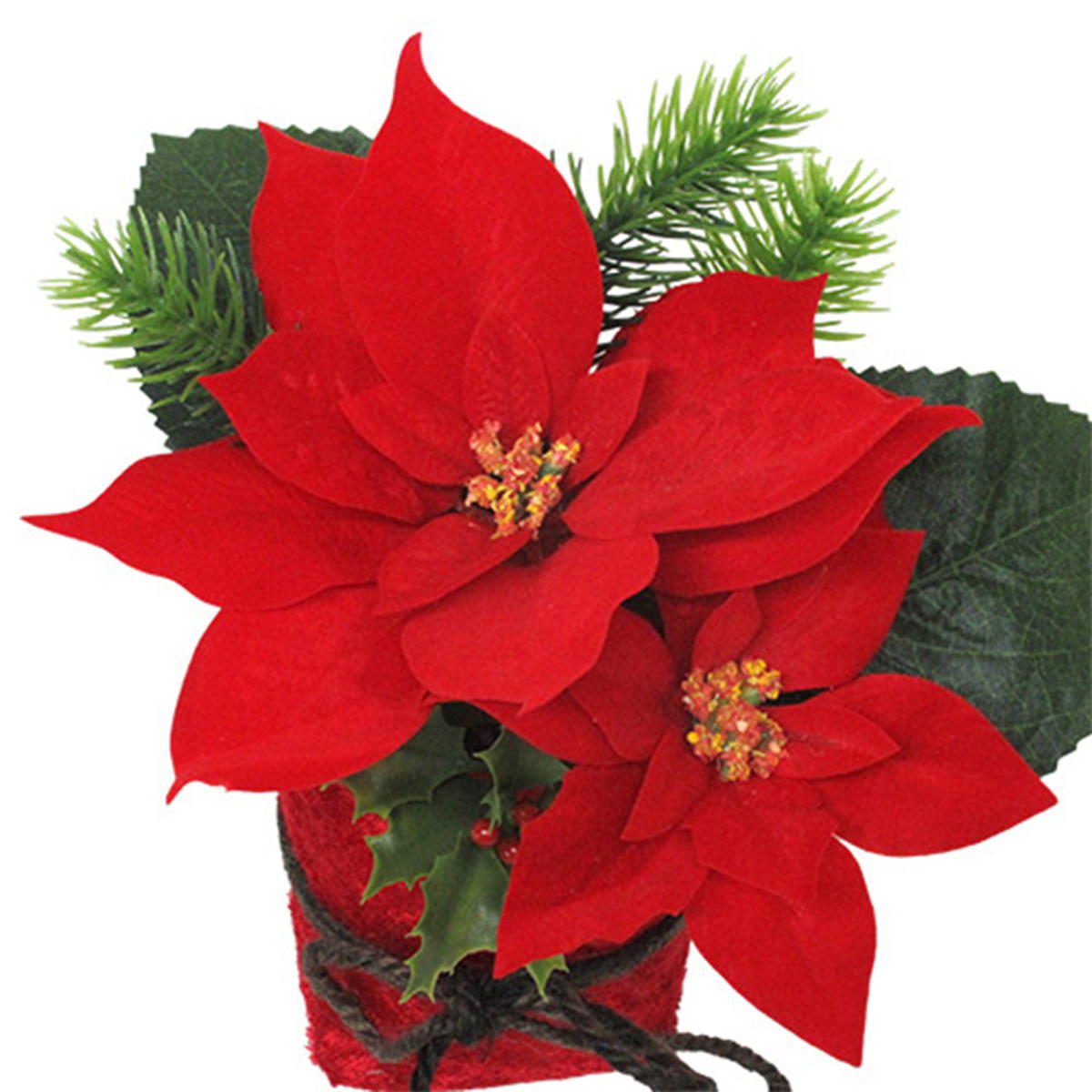 【まとめ買い】ポインセチアベロアラップポット0665/360556