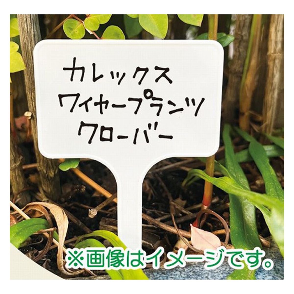 まとめ買い】名入れラベル8P入 0603/360592 | ワッツ