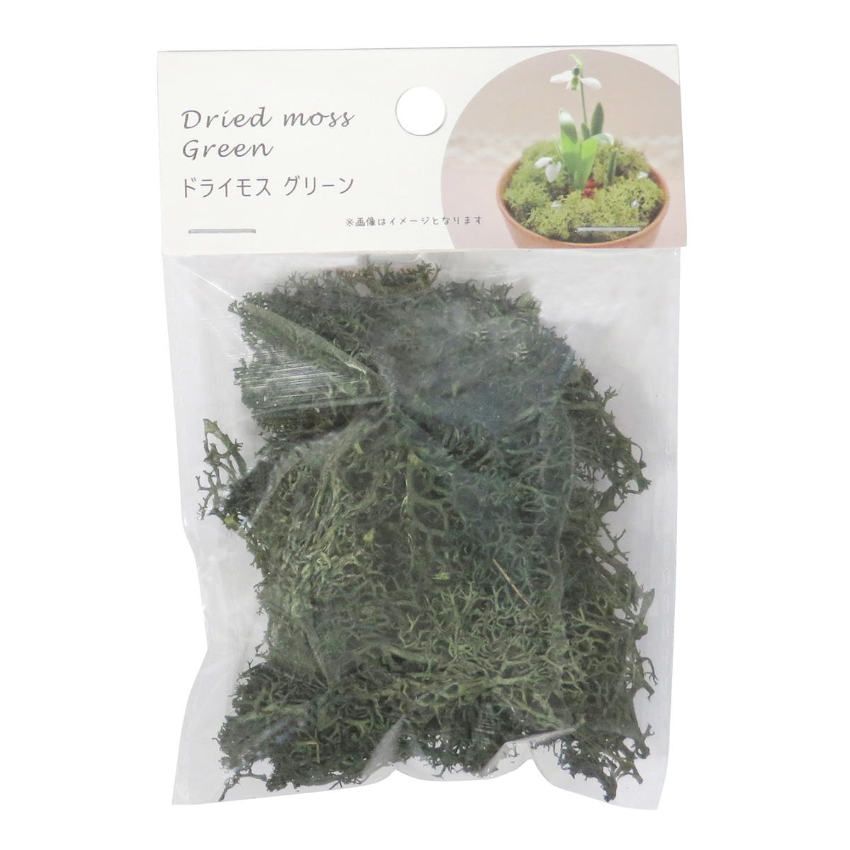 まとめ買い】ドライモス グリーン0599/361361 | ワッツ