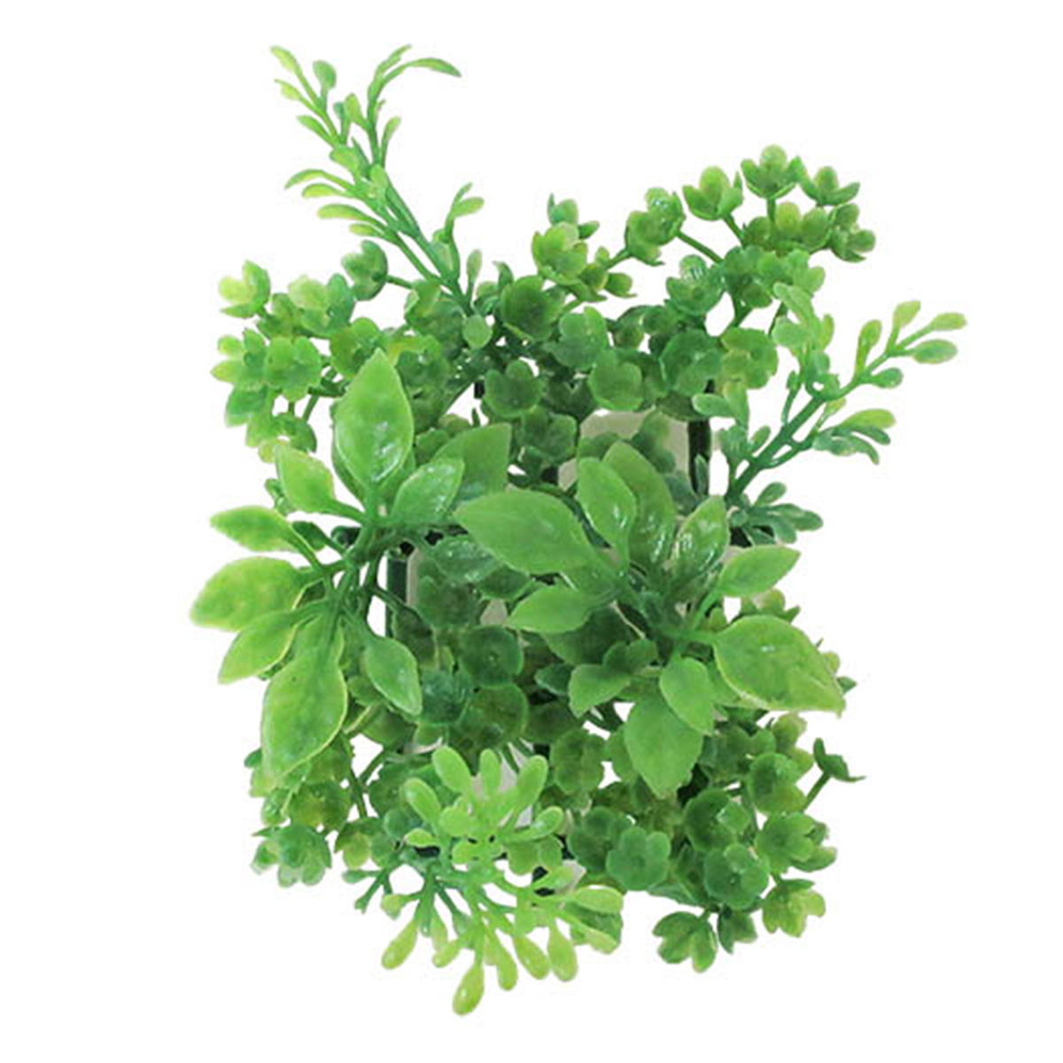 まとめ買い】グリーンマットボックスウッド0665/361829 | ワッツ