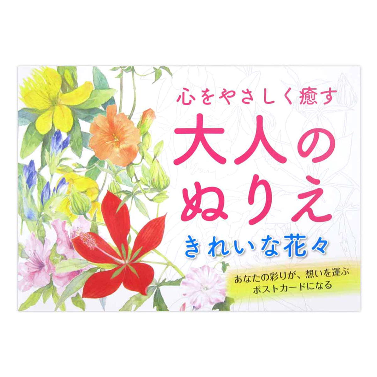 【まとめ買い】大人のぬりえ きれいな花々 0915/370463
