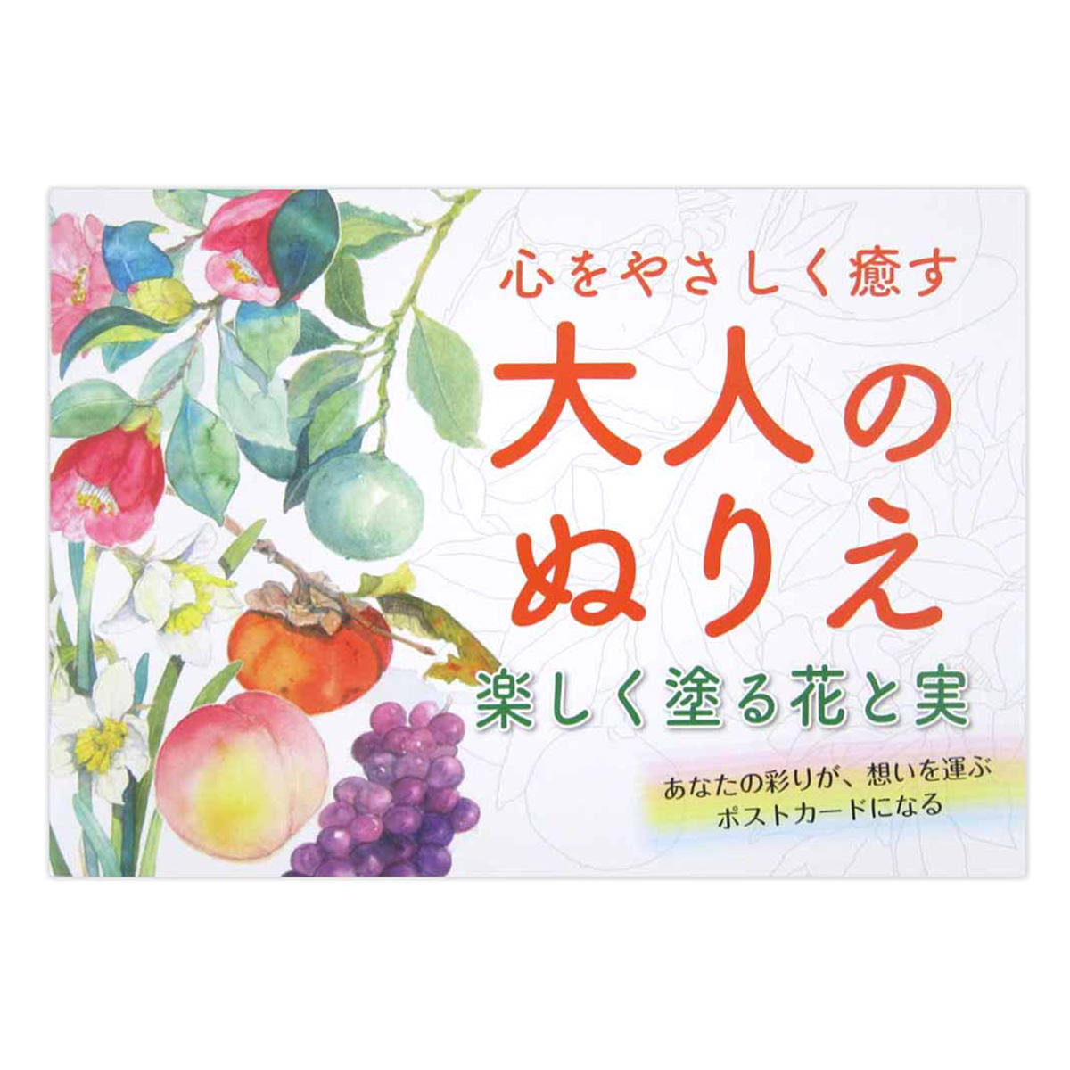【まとめ買い】大人のぬりえ 楽しく塗る花と実 0915/370464