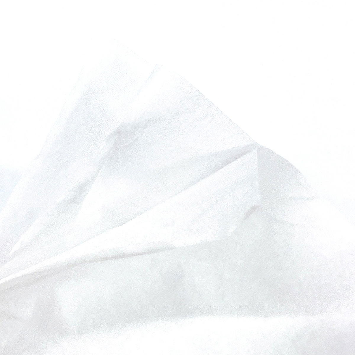 【まとめ買い】ローションティッシュ30枚（10組）6個入 0808/370518