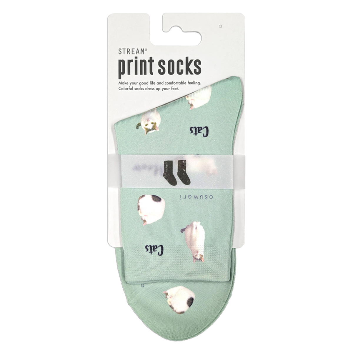 【まとめ買い】ネコとロゴクルー 1905/397034